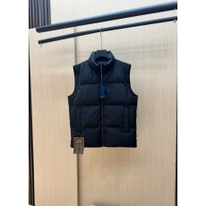 Louis Vuitton Down Jackets